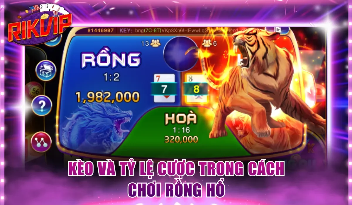 Kèo và tỷ lệ cược trong cách chơi Rồng Hổ