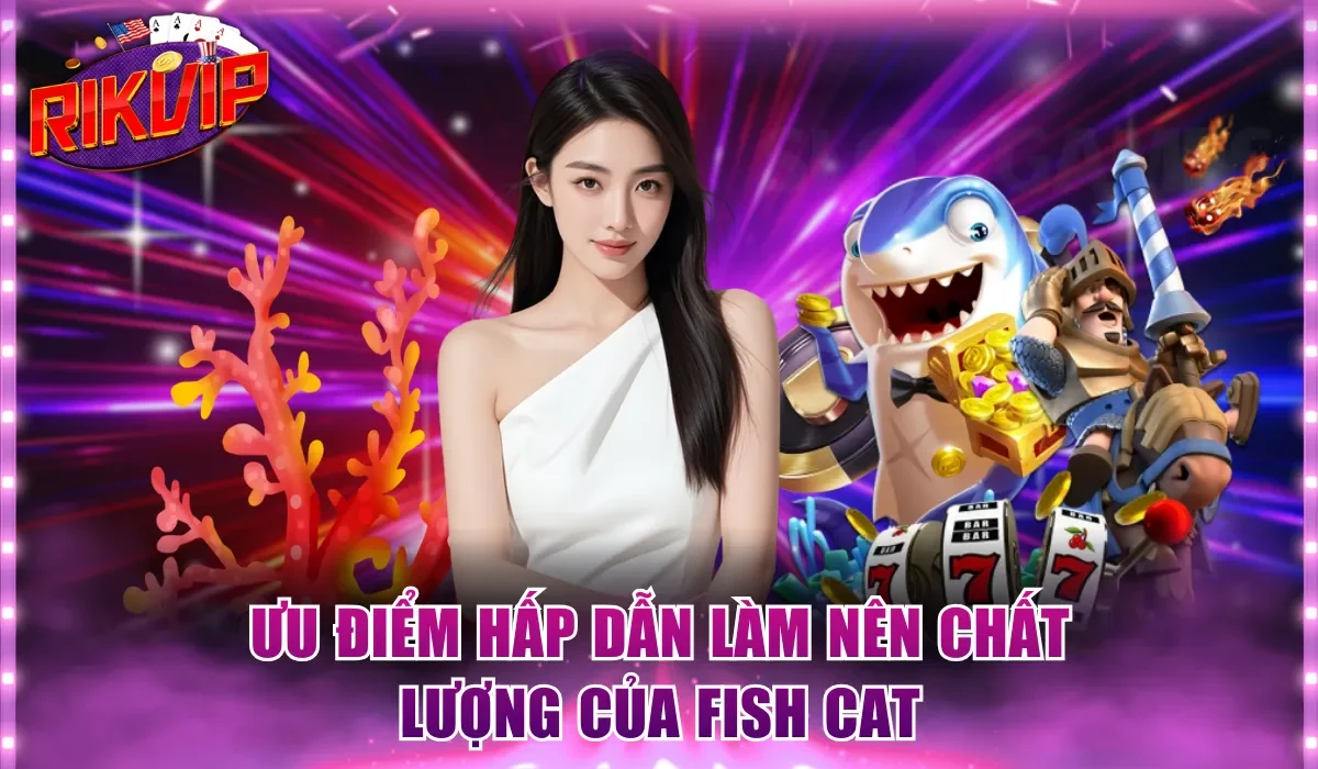 Ưu điểm hấp dẫn làm nên chất lượng của Fish Cat